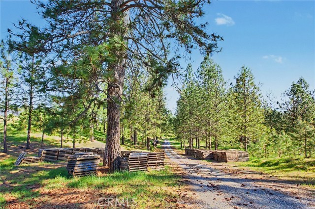 Image 16 of 36 For 3029 Freshwater