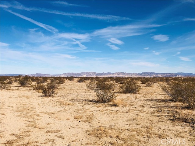 Detail Gallery Image 4 of 12 For 46 Desert Lily St, Joshua Tree,  CA 92252 - – Beds | – Baths