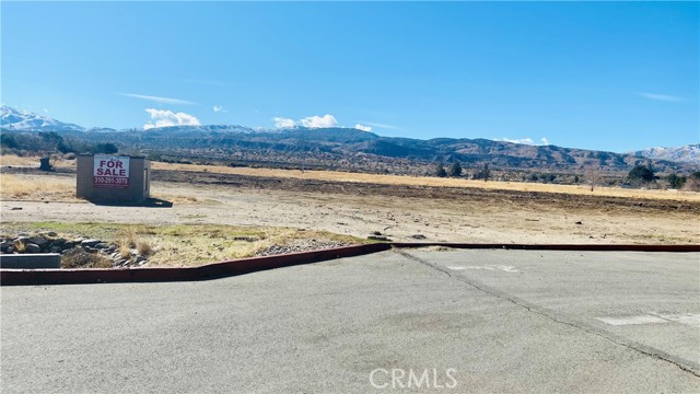 8500 Vac/Vic Pearblossom Hwy/85th, Littlerock CA: https://media.crmls.org/medias/5fc171ea-3ef4-4fe1-a5ec-2fbc4cbdb711.jpg