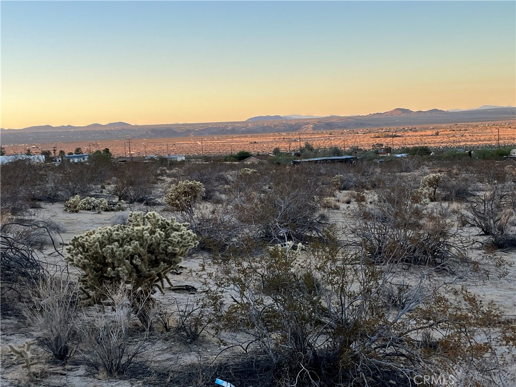 MLS #JT25250463 image #17