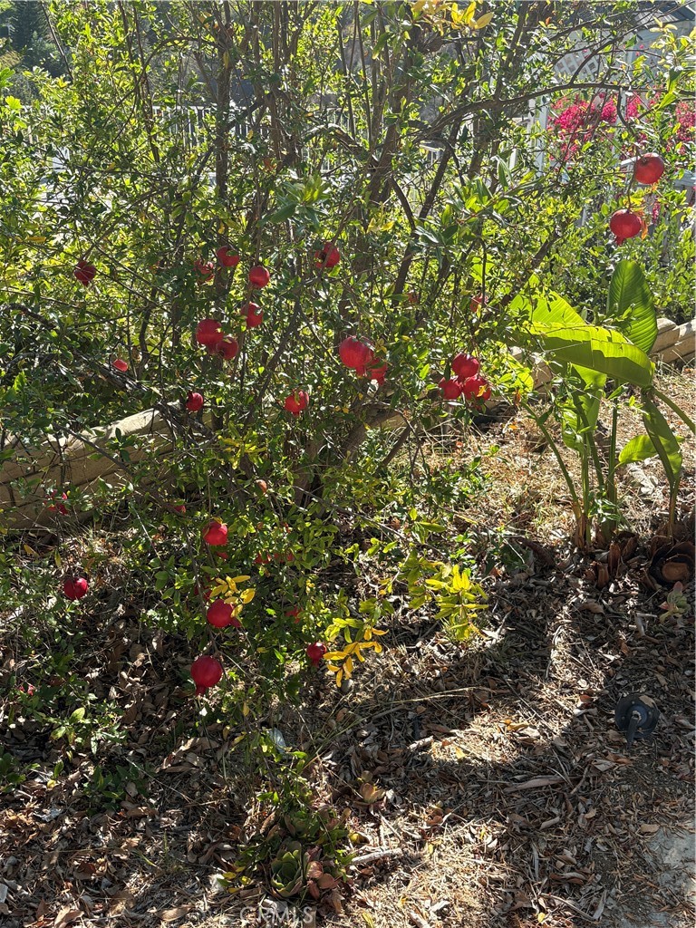 https://media.crmls.org/medias/5fc86ec7-51f5-49c2-997c-2450159d58de.jpg?preset=X-Large