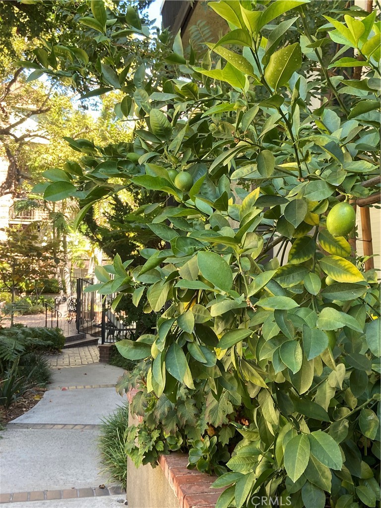 MLS #AR25236746 image #40