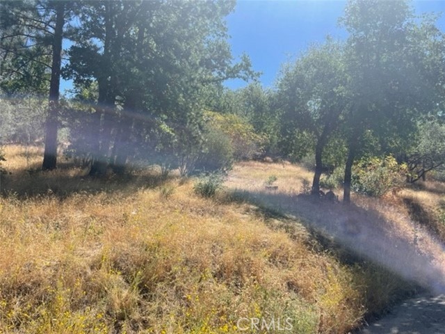 Detail Gallery Image 17 of 17 For 0 Lot 2 Peckinpah Acres Dr, North Fork,  CA 93643 - – Beds | – Baths