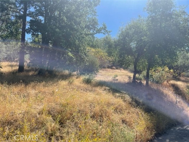 0 Peckinpah Acres Drive, North Fork, California 93643, ,Land,For Sale,0 Peckinpah Acres Drive,CRFR24049798