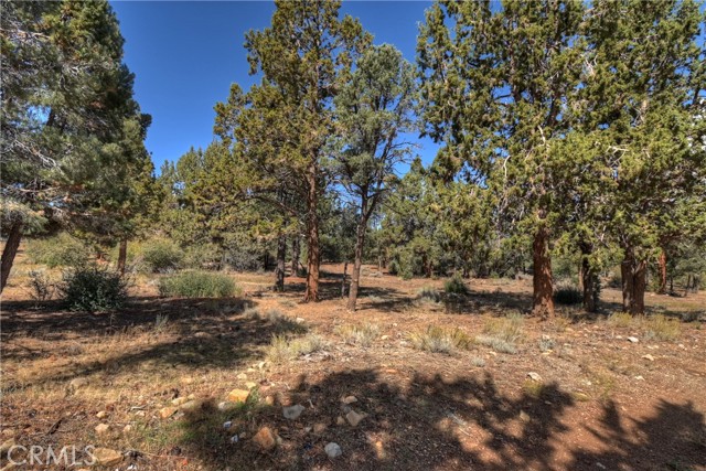 391 Montclair Dr #41, Big Bear City CA: https://media.crmls.org/medias/5fcd8c7e-75ed-48c1-b49d-c81c66d6c653.jpg