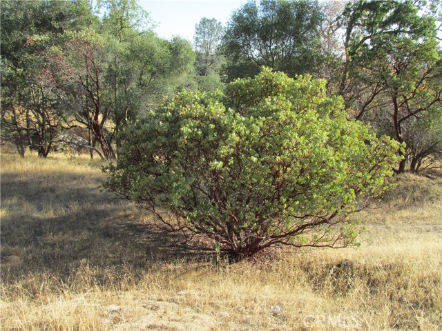 Detail Gallery Image 31 of 54 For 2 Ac Old Oaks Ct, North Fork,  CA 93643 - – Beds | – Baths