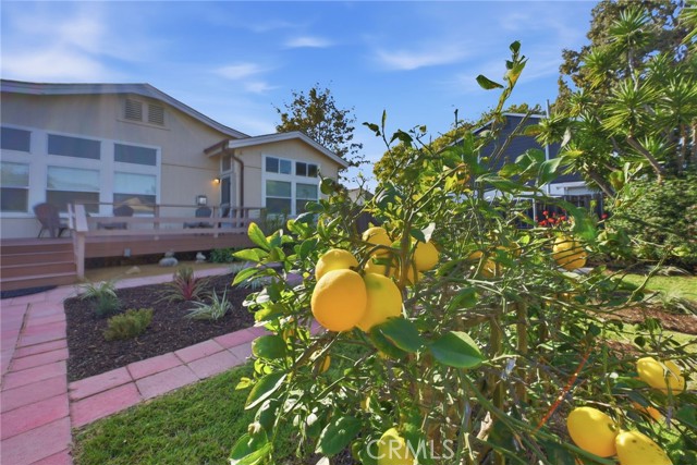 Detail Gallery Image 41 of 54 For 158 Cecil, Costa Mesa,  CA 92627 - 3 Beds | 2/1 Baths