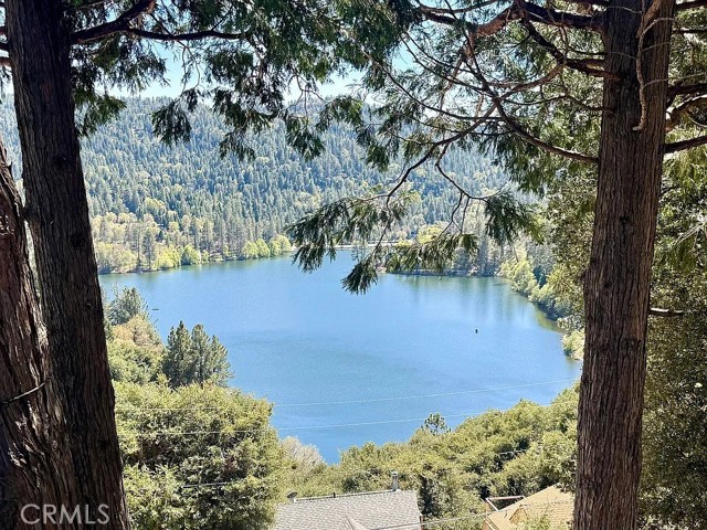 Detail Gallery Image 2 of 29 For 264 Darfo Dr, Crestline,  CA 92325 - 3 Beds | 2 Baths