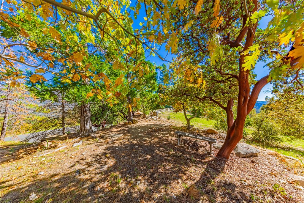 https://media.crmls.org/medias/5fd5f097-d04b-4f7b-acea-6dd139fbfbfd.jpg?preset=X-Large