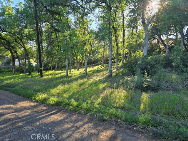 Front Image Thumbnail for CRLC26072262