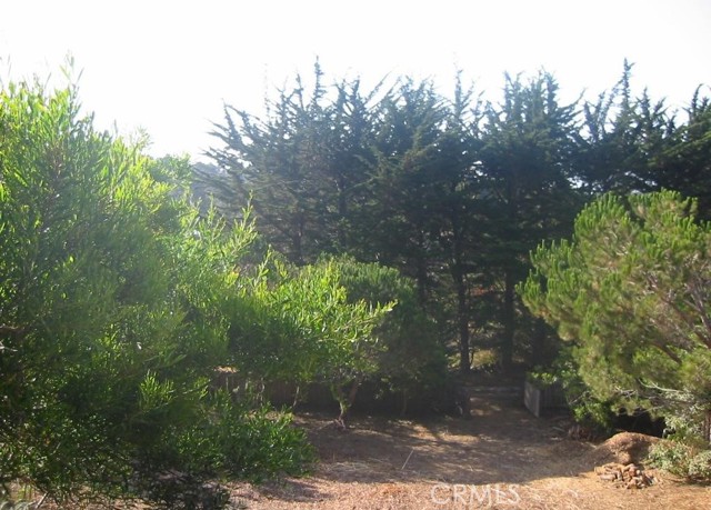 Detail Gallery Image 4 of 12 For 195 Spindrift Rd, Carmel Highlands,  CA 93923 - – Beds | – Baths