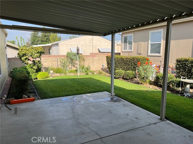 Back yard