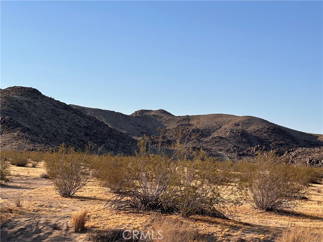 Front Image Thumbnail for CRCV26103801