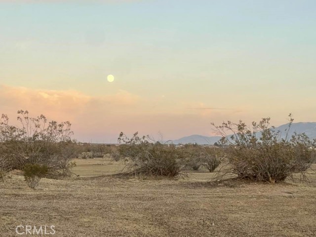 Detail Gallery Image 16 of 16 For 30800410 Central Rd, Apple Valley,  CA 92307 - – Beds | – Baths