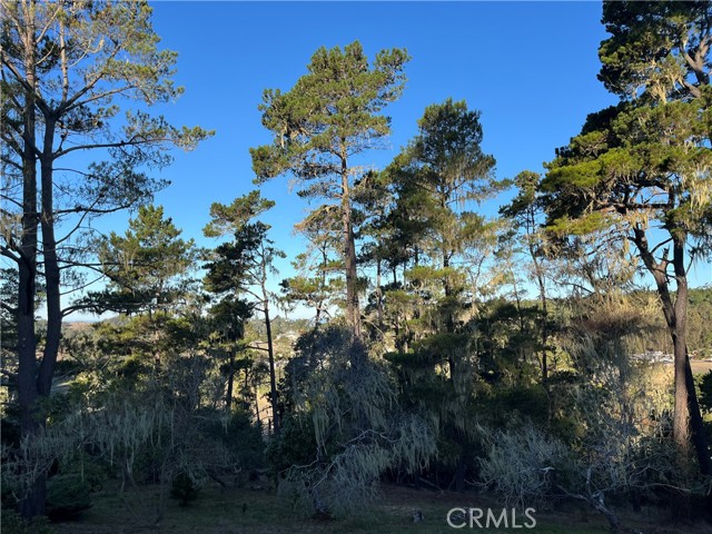 Front Image Thumbnail for CRSC25250182