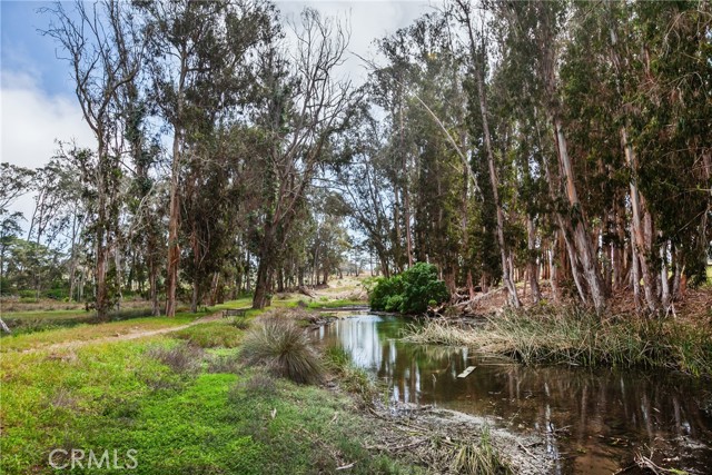 Detail Gallery Image 48 of 63 For 1223 7th, Los Osos,  CA 93402 - 3 Beds | 2/1 Baths