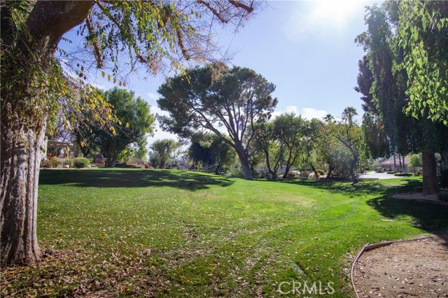 Image 8 for 35104   Mission Hills DR