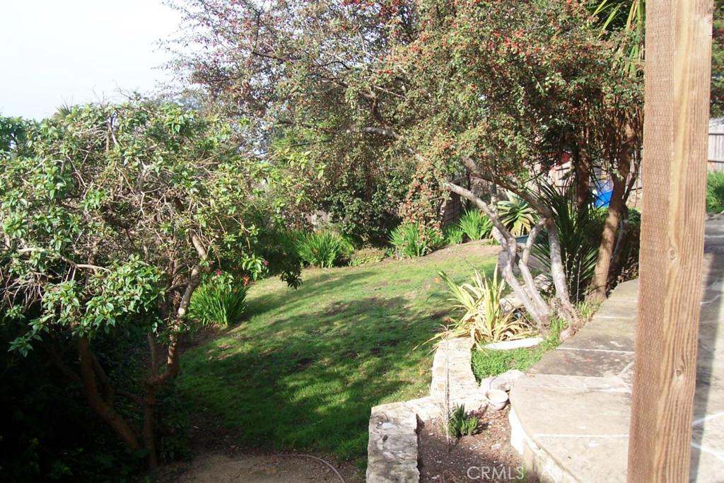 MLS #ML81449478 image #9