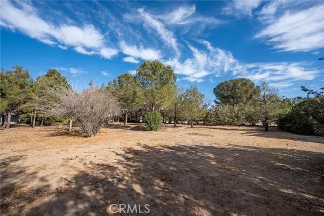 Detail Gallery Image 6 of 65 For 40323 22nd St, Palmdale,  CA 93551 - 3 Beds | 2 Baths