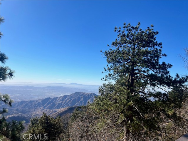 Detail Gallery Image 3 of 23 For 31603 Panorama Dr, Running Springs,  CA 92382 - 3 Beds | 1/1 Baths