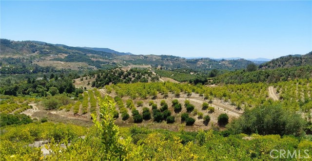 5 De Anza Road, Temecula CA: https://media.crmls.org/medias/6024c810-1c0a-4753-a7d5-ec73dff19647.jpg