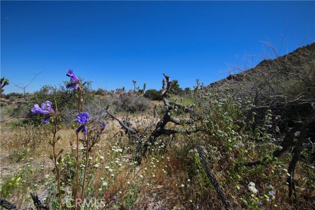 Detail Gallery Image 28 of 38 For 0 San Andreas, Joshua Tree,  CA 92252 - – Beds | – Baths