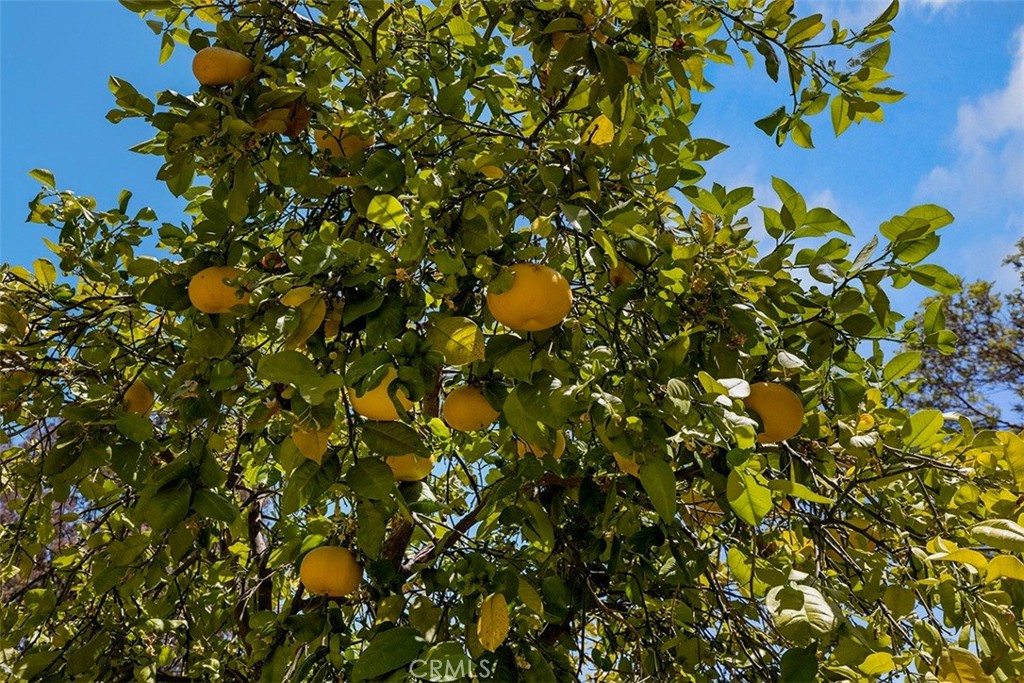 https://media.crmls.org/medias/602a028f-ea6c-4c38-b2fd-459f41657011.jpg?preset=X-Large
