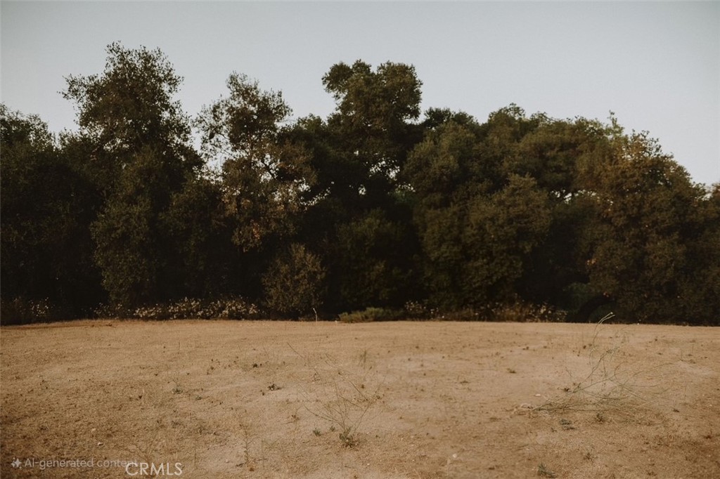 MLS #SW25018861 image #32