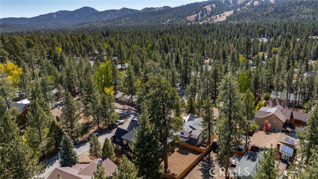 Detail Gallery Image 66 of 70 For 248 Oriole Dr, Big Bear Lake,  CA 92315 - 4 Beds | 3/1 Baths