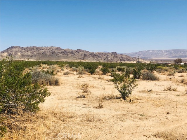 0 Near Dusty Mile, Landers, CA, 92285 0 Near Dusty Mile, Landers, CA, 92285
