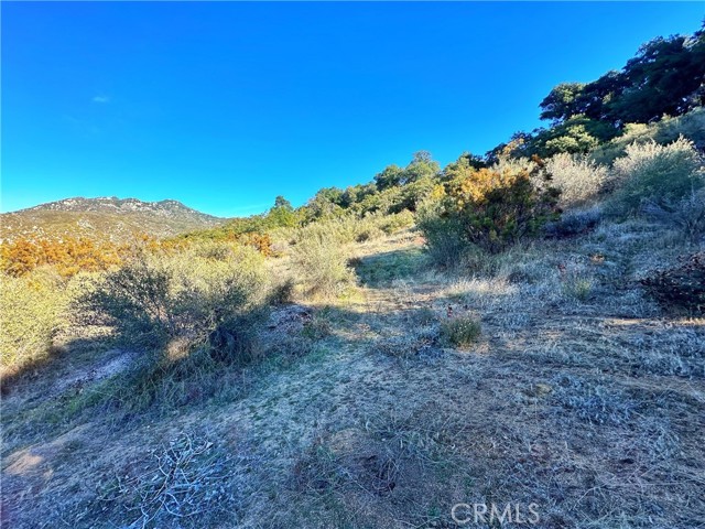 0 Camino Ortega, Warner Springs, California 92086, ,Residential Land,For Sale,Camino Ortega,ND24129069