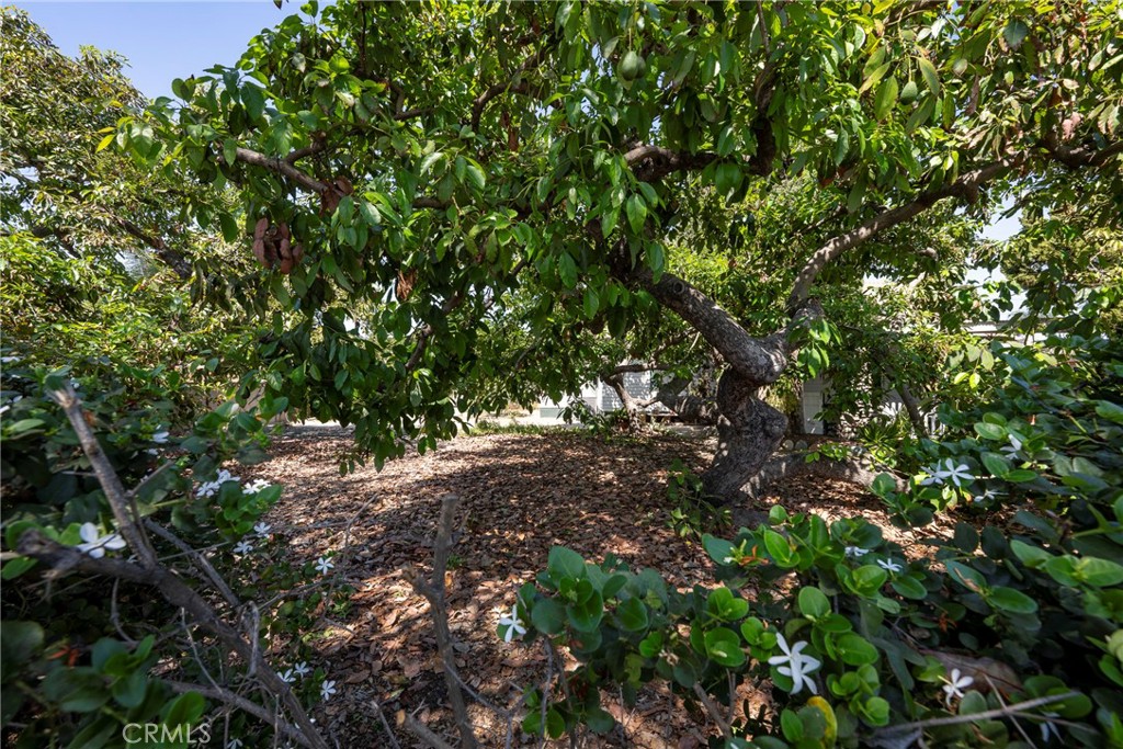 https://media.crmls.org/medias/6055949f-d520-46cf-b3c1-56078c4fbdc4.jpg?preset=X-Large