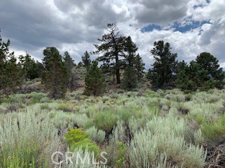 0 Ponderosa, Big Bear City, California 92314, ,Land,For Sale,0 Ponderosa,CROC20150732