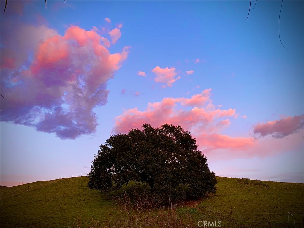 https://media.crmls.org/medias/605dd899-9638-432b-a353-4a5ca0ef9e52.jpg?preset=X-Large