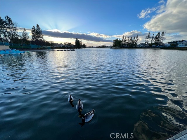Detail Gallery Image 42 of 71 For 30665 Spring Deep Terrace, Menifee,  CA 92584 - 4 Beds | 3 Baths