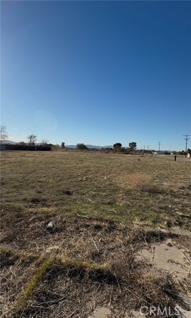 Front Image Thumbnail for CRSR25274731