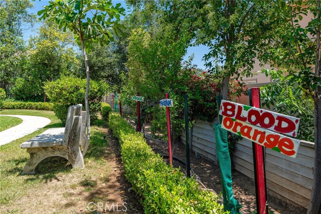 22501 Marilla Street, Chatsworth CA: https://media.crmls.org/medias/60664092-93f3-414d-b8b2-d9906737f036.jpg