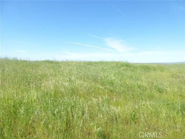 Detail Gallery Image 48 of 75 For 0 Douglas Rd. (Lots 28, 33 & 34), San Miguel,  CA 93451 - – Beds | – Baths