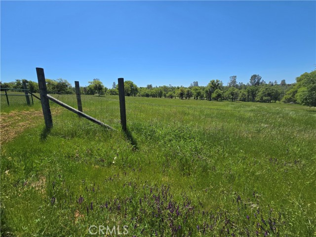 Detail Gallery Image 56 of 75 For 5963 Schilling Road, Coulterville,  CA 95311 - 3 Beds | 3 Baths