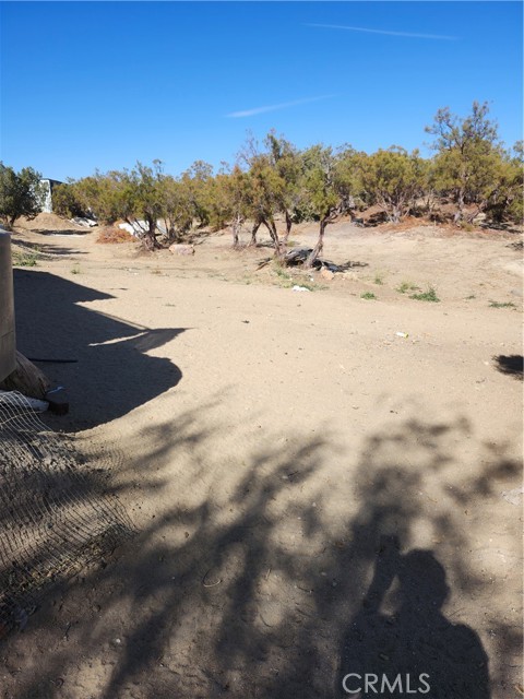 Detail Gallery Image 24 of 34 For 58782 La Colina Ln, Anza,  CA 92539 - 1 Beds | 1 Baths