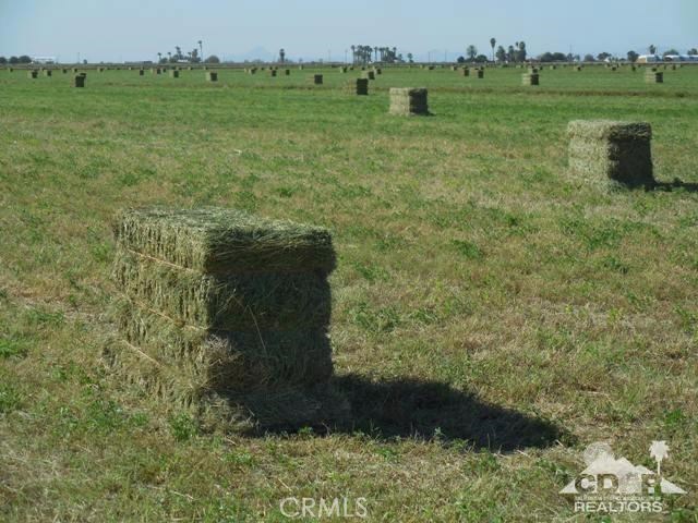 MLS #216029032DA image #9