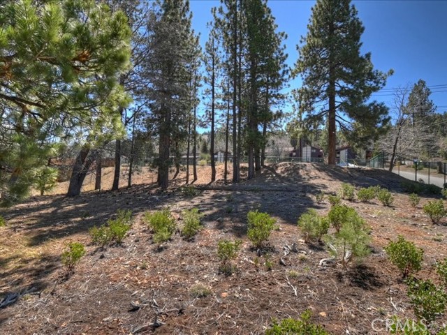 Detail Gallery Image 11 of 21 For 41711 Swizterland, Big Bear Lake,  CA 92315 - – Beds | – Baths