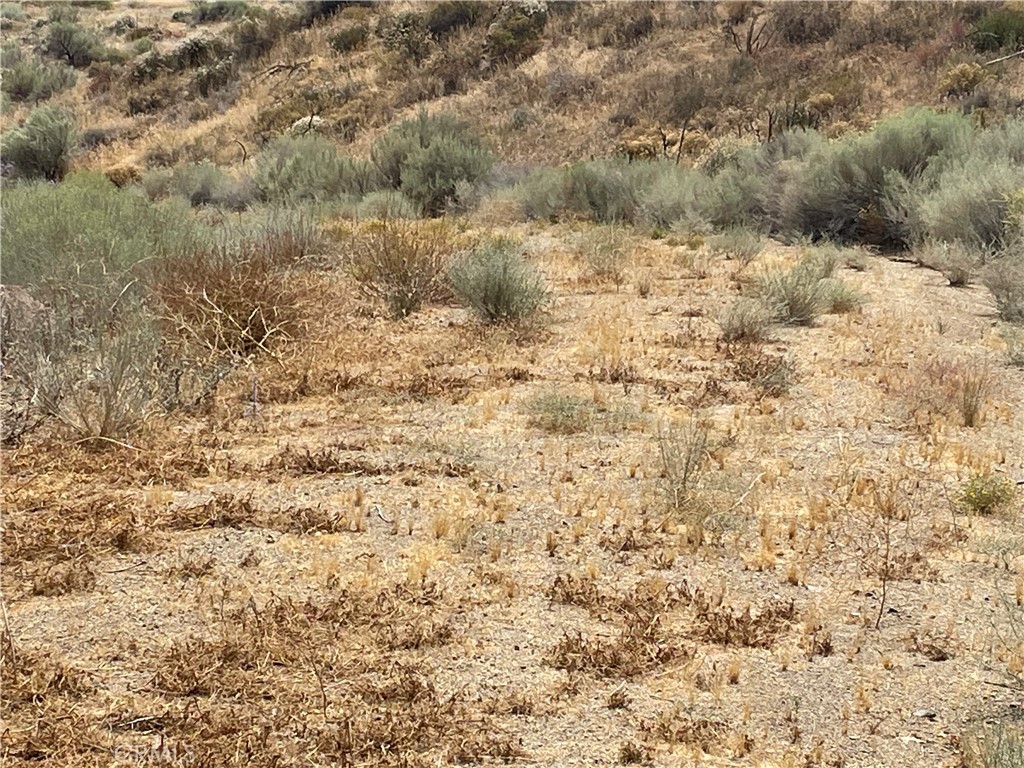 MLS #SR26174386 image #18