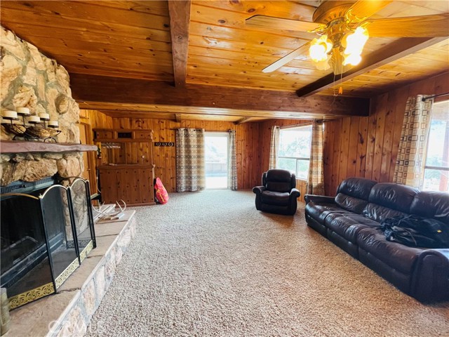 Downstairs Family Room