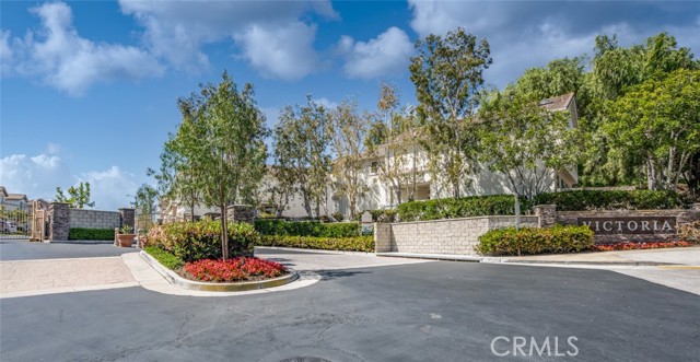 608286d0 C665 43bd 9ac7 1e6a8c525f27