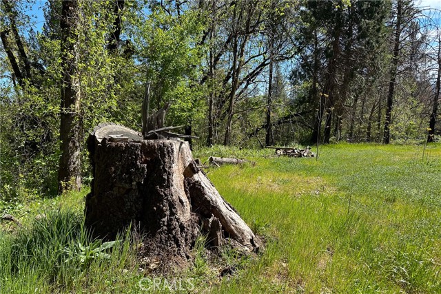 Detail Gallery Image 21 of 29 For 21138 Big Oak Ln, Lakehead,  CA 96051 - – Beds | – Baths