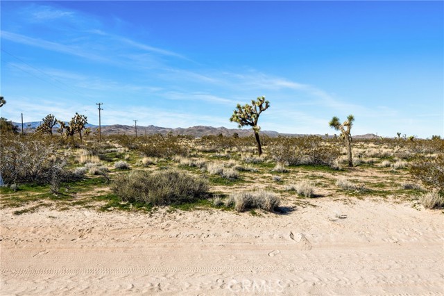 Detail Gallery Image 7 of 51 For 0 Gibraltar, Landers,  CA 92285 - – Beds | – Baths