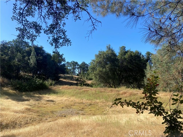 0 State Hwy 140, Mariposa CA: https://media.crmls.org/medias/6089ded4-d8d3-4c0c-a039-be3355a7b9cf.jpg