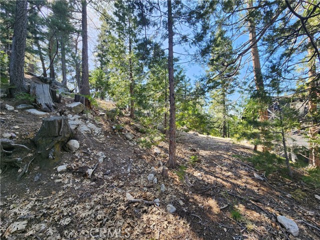 Detail Gallery Image 20 of 20 For 0 Pyramid Dr, Lake Arrowhead,  CA 92352 - – Beds | – Baths