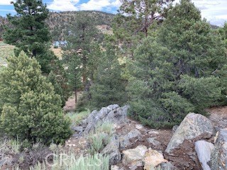 0 Ponderosa, Big Bear City, California 92314, ,Land,For Sale,0 Ponderosa,CROC20150732